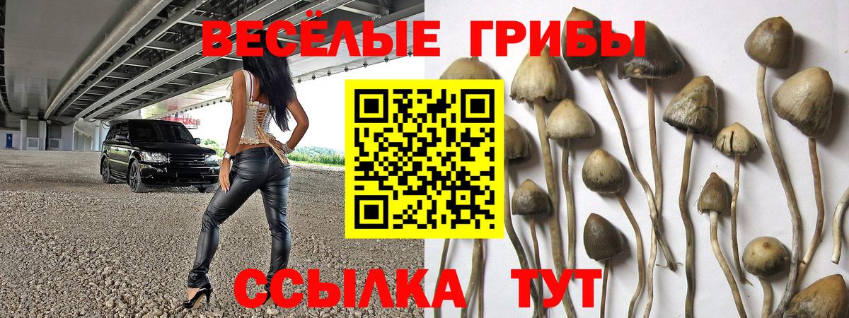Псилоцибиновые грибы Magic Shrooms  Псилоцибиновые грибы Cubensis  купить  сайты  Вход с VPN  Балашов 
