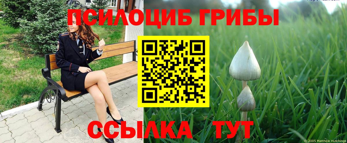 Галлюциногенные грибы Magic Shrooms Балашов